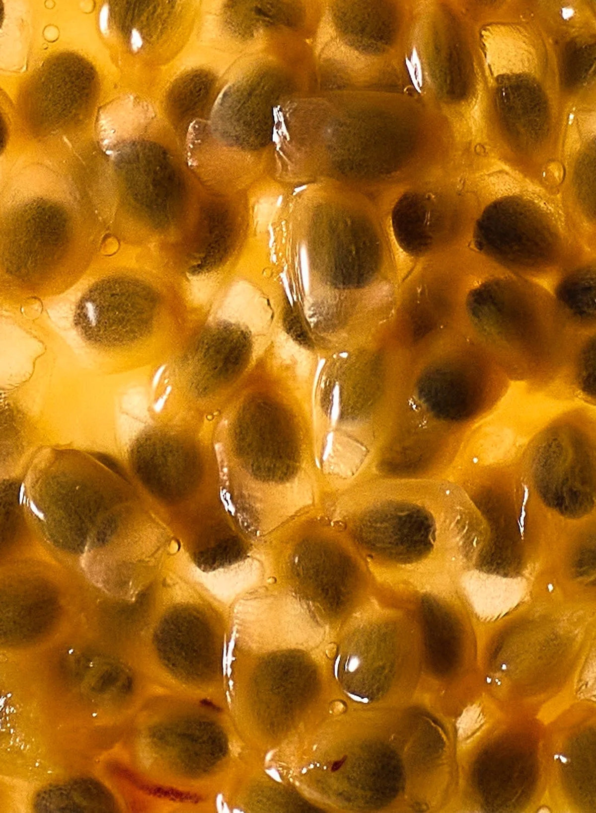 Laundry Day, 6ml - Abel