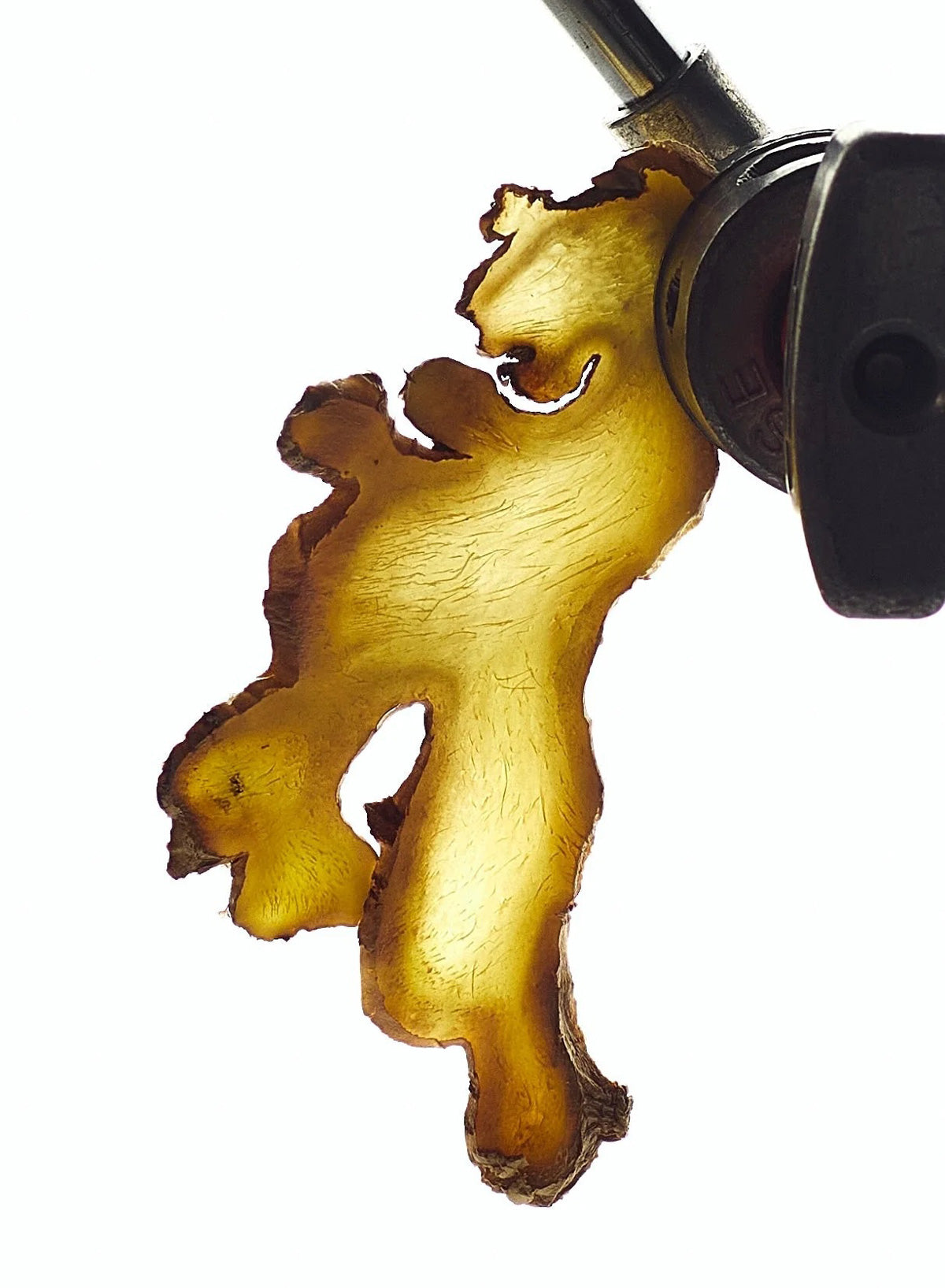 Nurture, 50ml - Abel