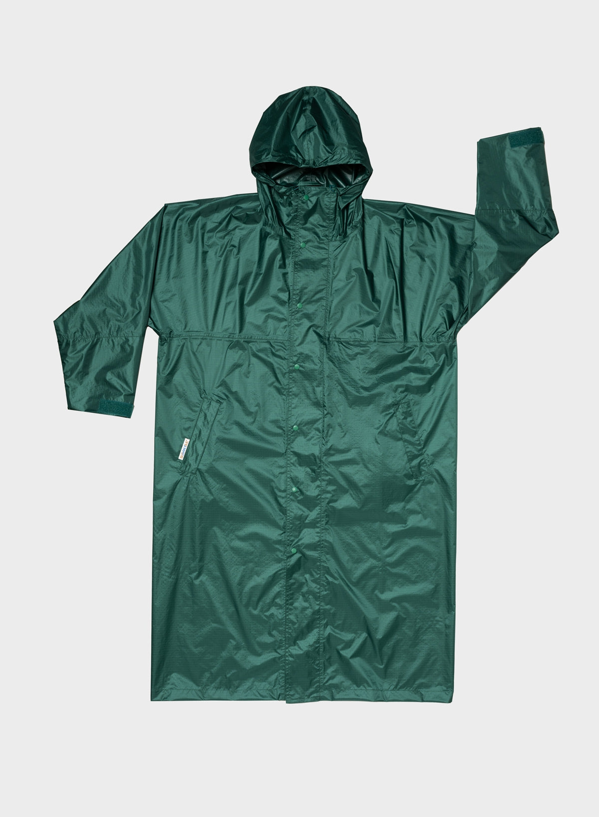 The New Raincoat Pine