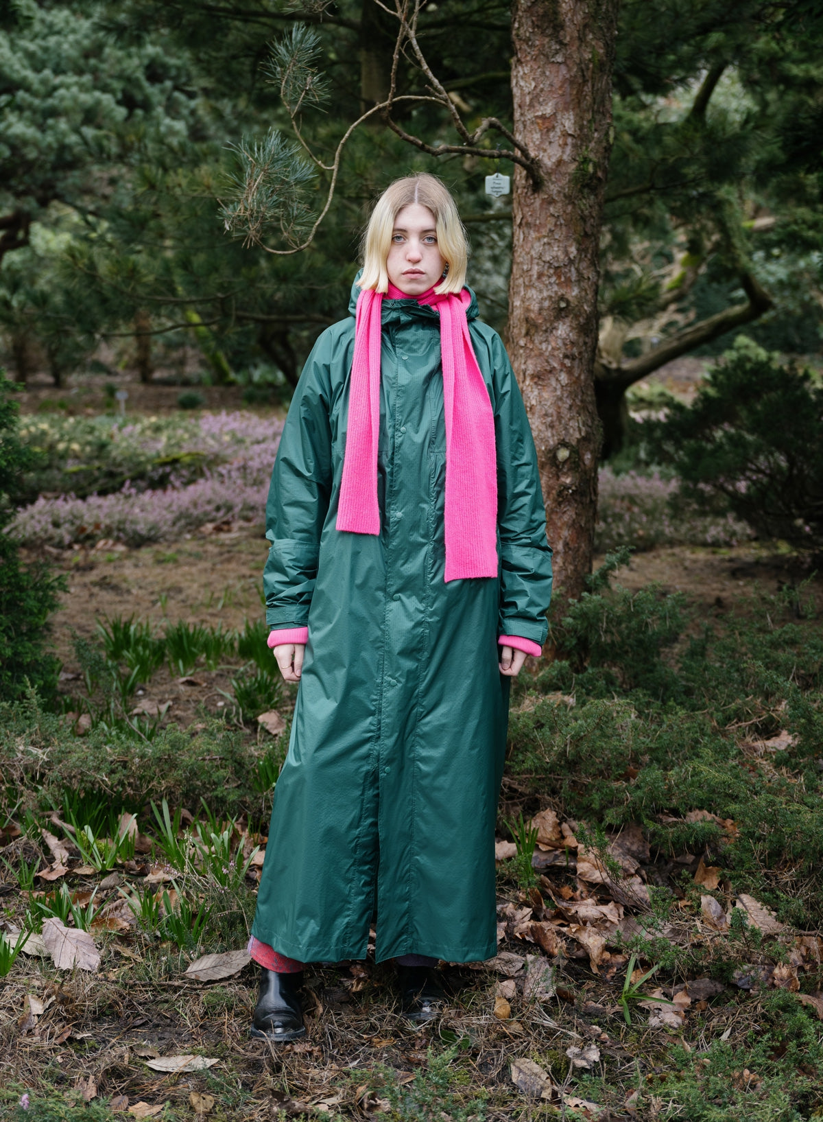 The New Raincoat Pine