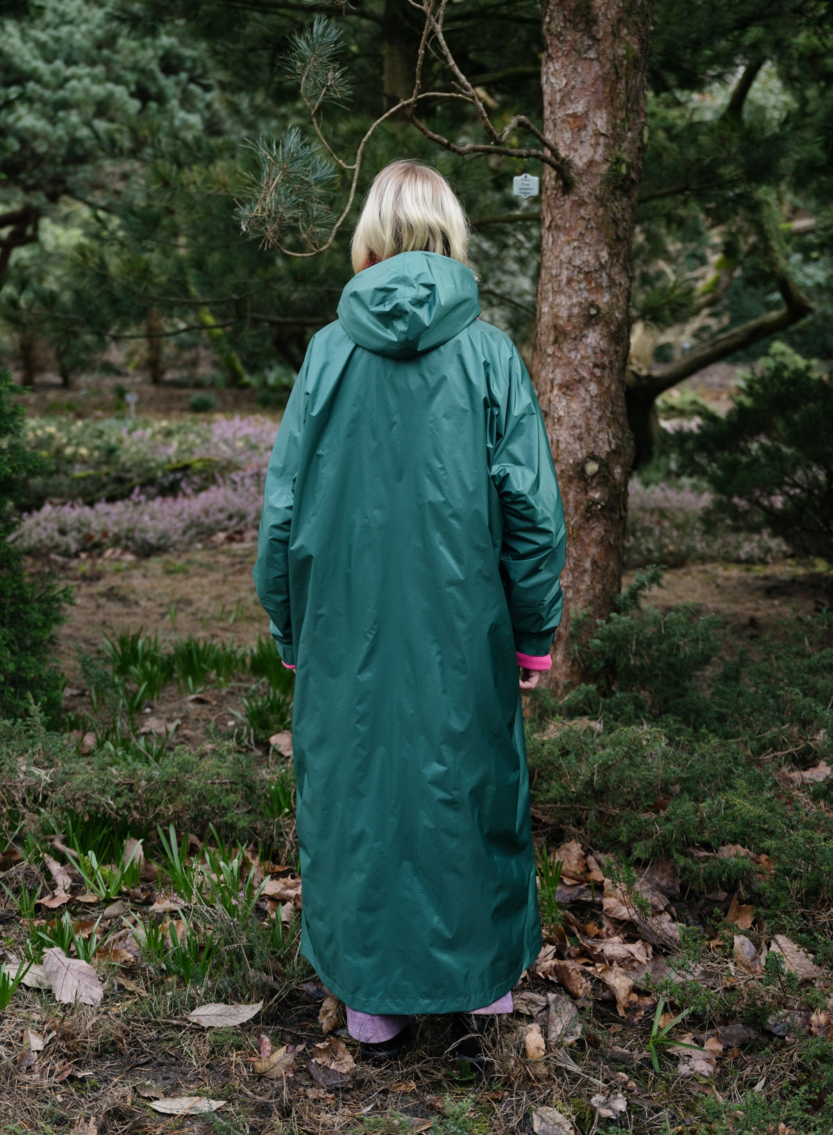 The New Raincoat Pine