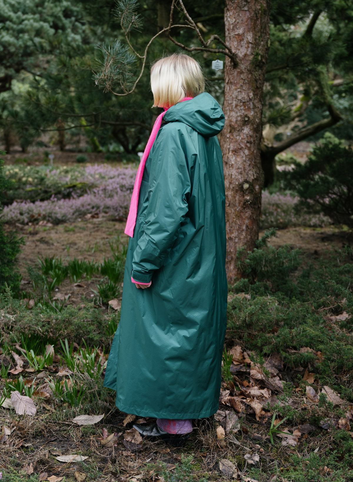 The New Raincoat Pine