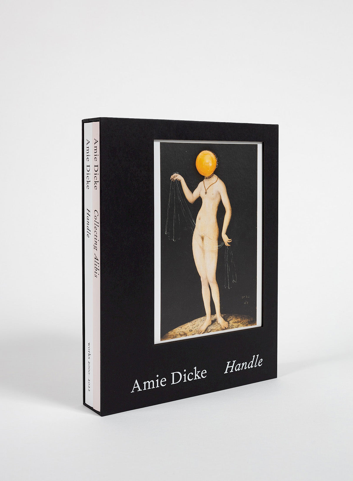 Collecting Alibis - Amie Dicke