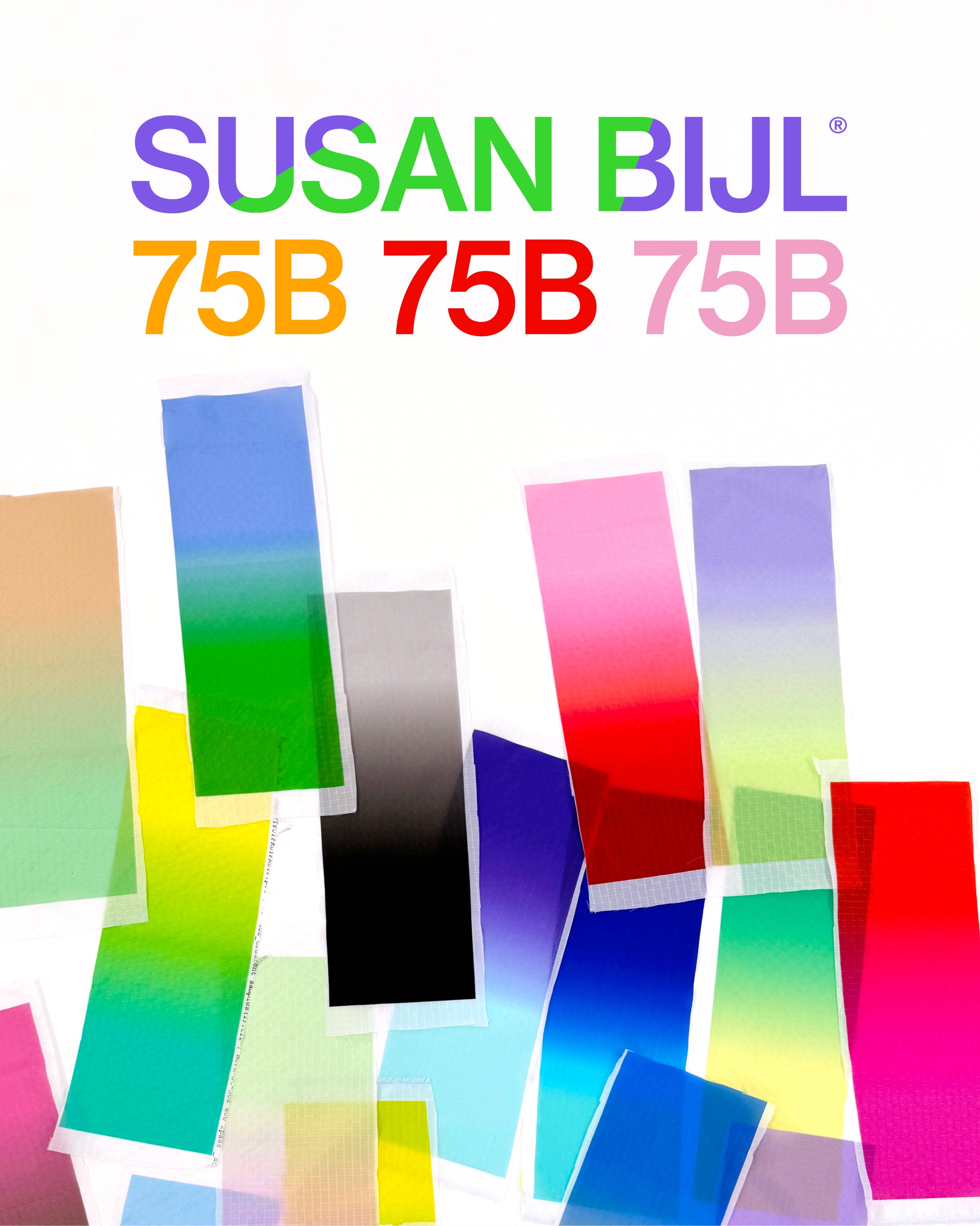 新品　SUSAN BIJL ✕ 75B The New Protectable SUSAN BIJL ( スーザンベル )/ SUSAN BIJL X 75B The New