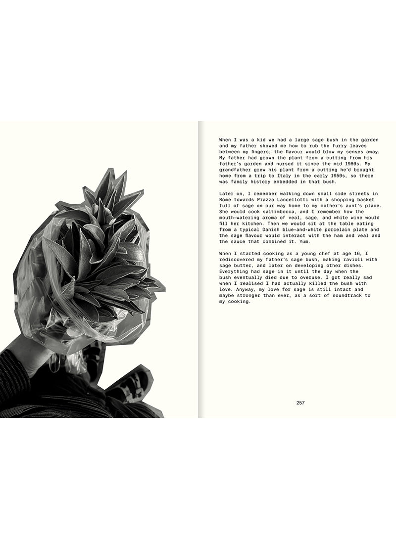 Al het spul dat we hebben gekookt, Frederik Bille Brahe - Appartement