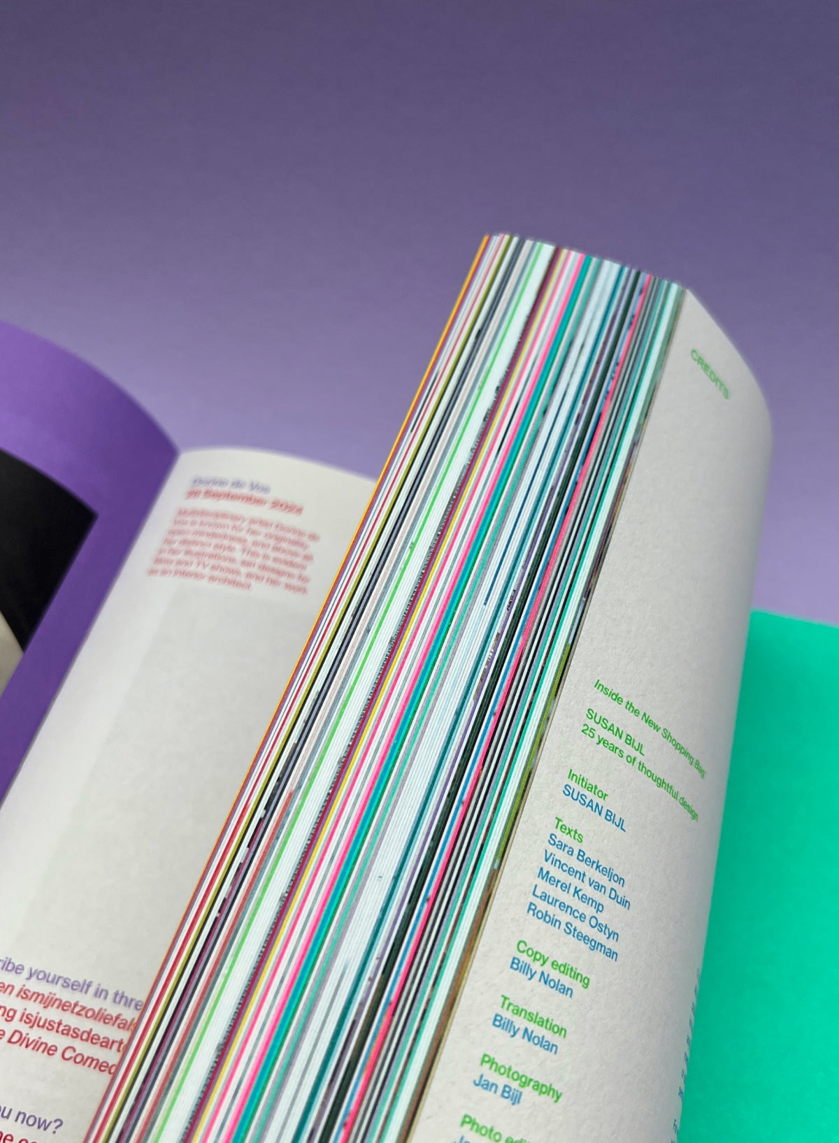 Boek: Inside The New Shopping Bag