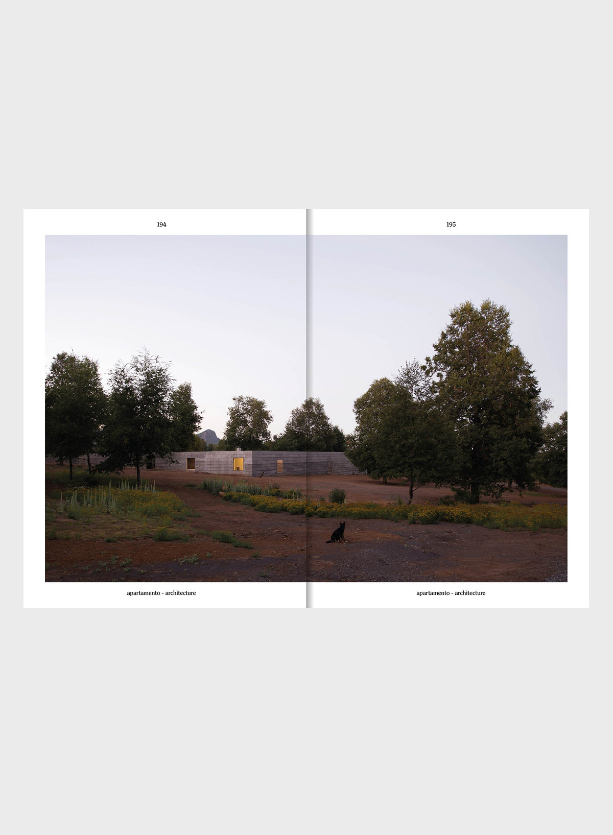 Magazine Issue #37 - Apartamento