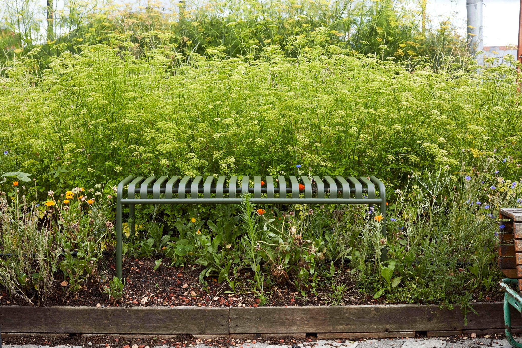 Palissade Bench, Cream White - HAY