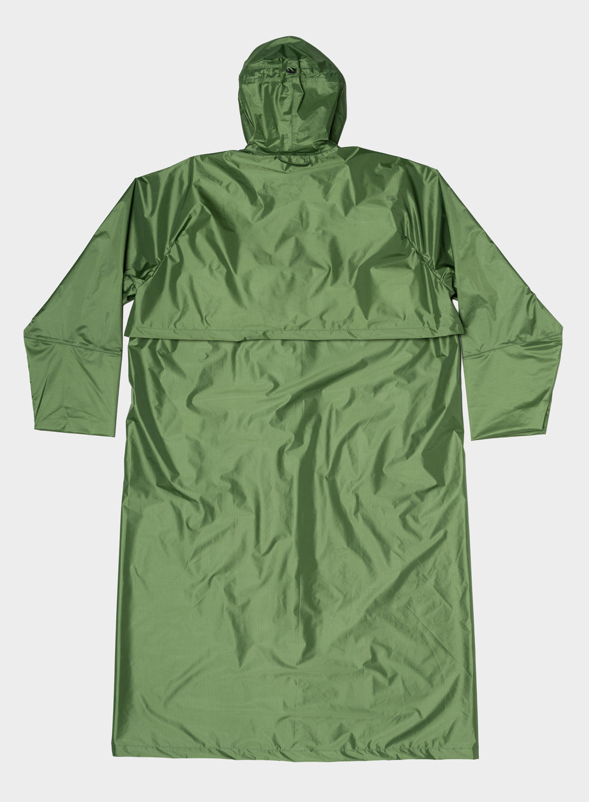 The New Raincoat Swamp